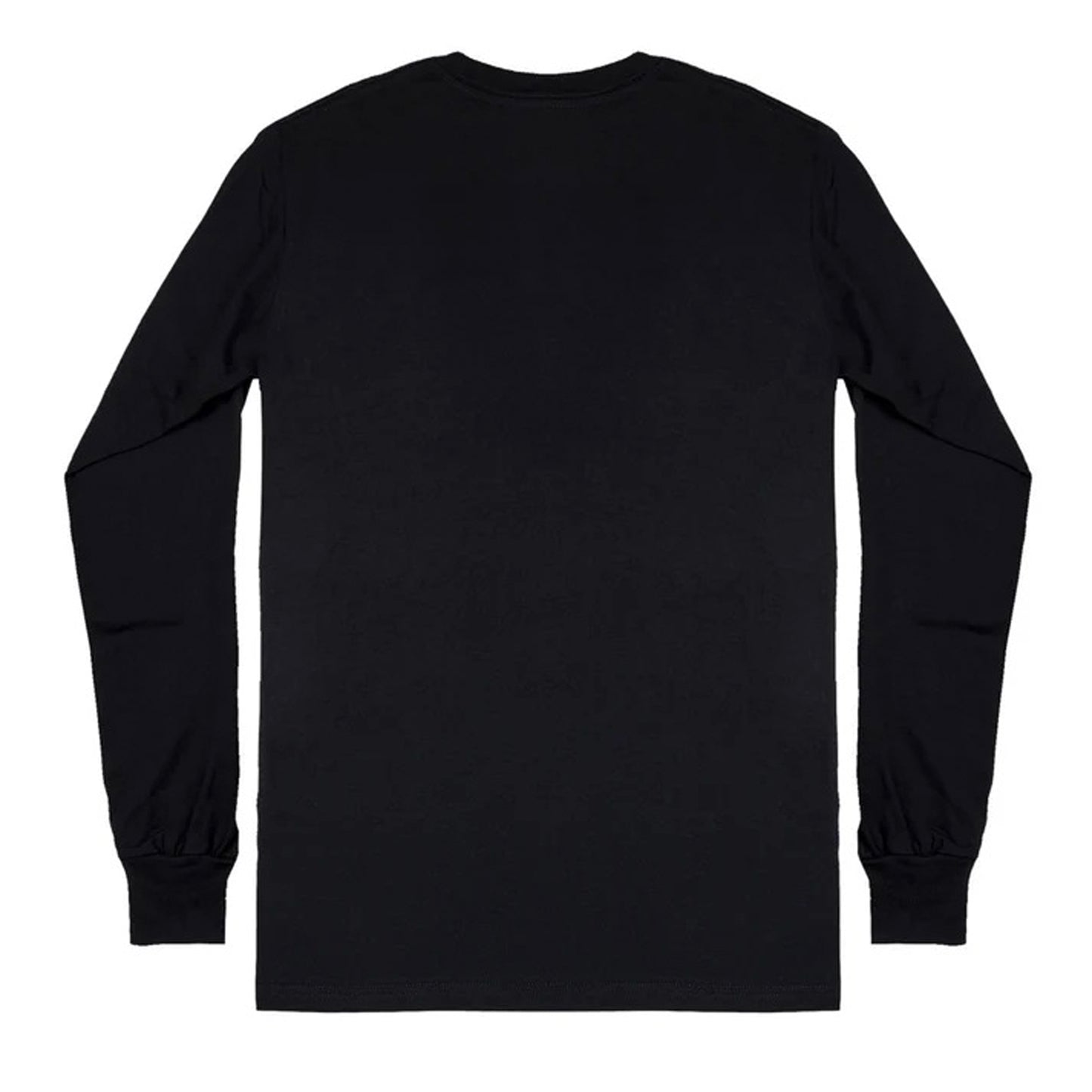 Back of long sleeve t-shirt, plain with no design.