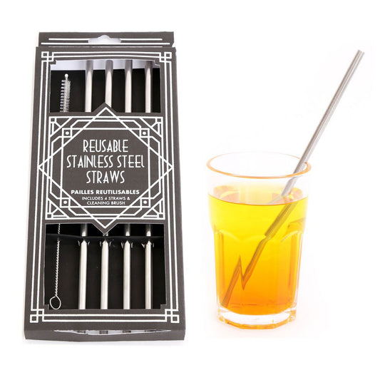 STAINLESS STEEL STRAWS (4)